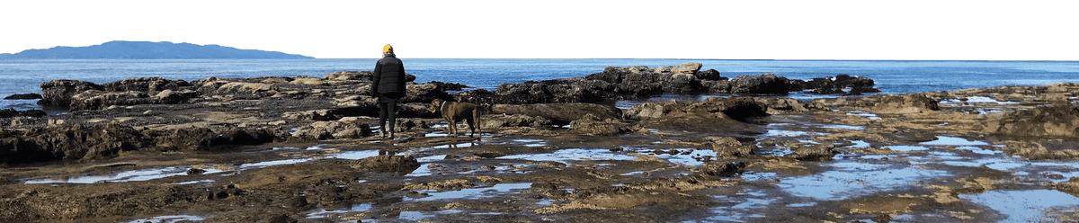 A woman and dog walking among tidepools in British Columbia